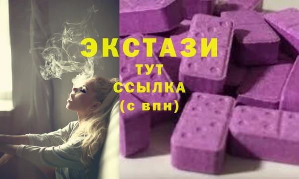 ECSTASY Ладушкин