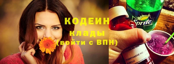 ГАЛЛЮЦИНОГЕННЫЕ ГРИБЫ Кедровый