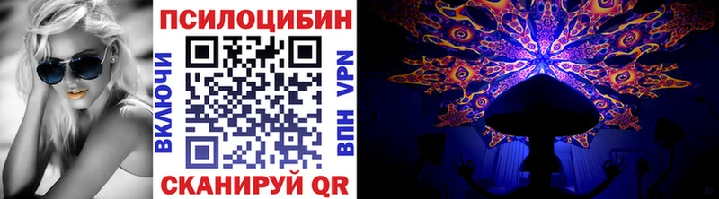 закладка  кракен маркетплейс  Псилоцибиновые грибы мухоморы  Новоузенск 